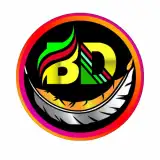BD NET VPN