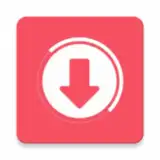 VidMad Video Downloader