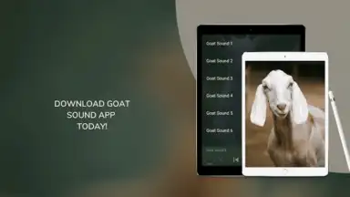 Goat Sounds screenshot 3