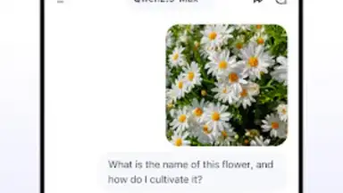 Qwen Chat screenshot 10