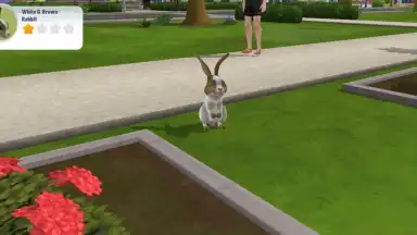 Virtual Sim Story: Dream Life screenshot 5