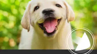 YouCam Perfect screenshot 4