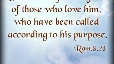 Bible Quotes Live Wallpaper screenshot 6