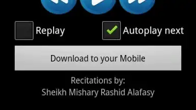 Quran MP3 With Indonesian screenshot 2