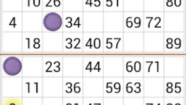Loto Online screenshot 6