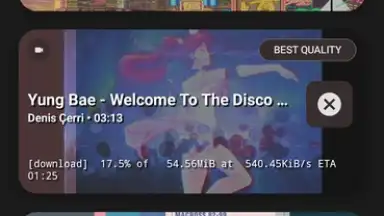 YTDLnis screenshot 8