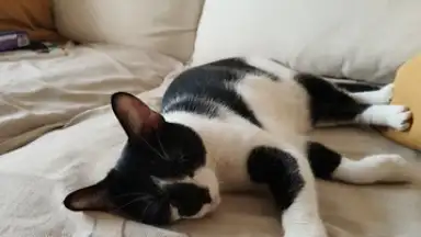 Open Camera screenshot 9