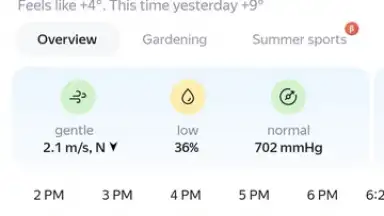 Yandex screenshot 2