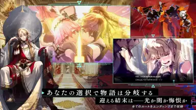 Aster Tatariqus screenshot 3