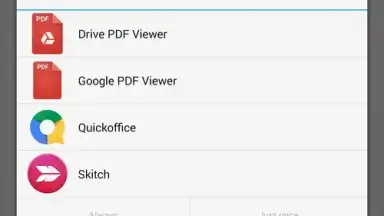 Google PDF Viewer screenshot 1
