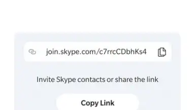 Skype screenshot 8