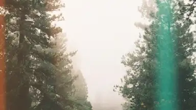 Snapchat lenses screenshot 2