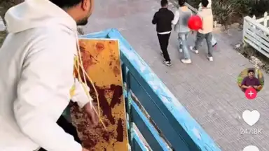 TikTok Pro screenshot 7