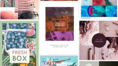 Adobe Spark Post screenshot 4