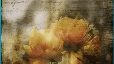 Secret Notes2 screenshot 8