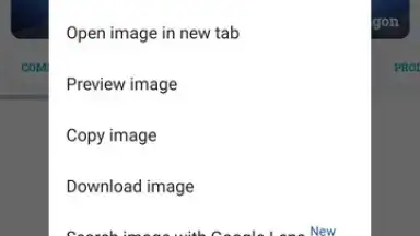 Google Chrome screenshot 10
