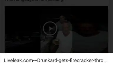 InShot Video Downloader screenshot 9
