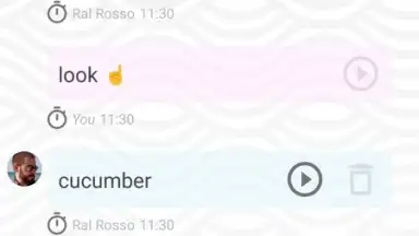 Supersonic Fun Voice Messenger screenshot 1