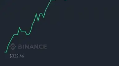 Binance screenshot 12
