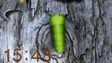 GO Locker screenshot 4