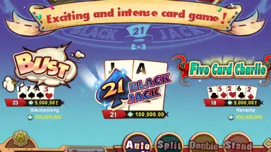 Blackjack Maniac screenshot 4