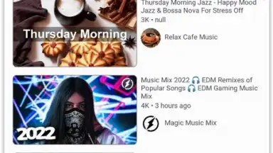 LibreTube screenshot 3