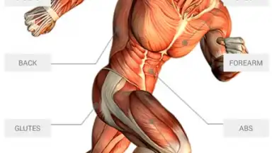 JEFIT screenshot 7