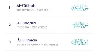 The Holy Quran - English screenshot 11