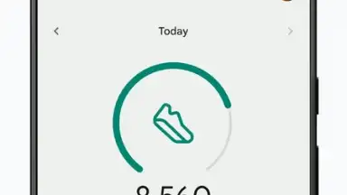 Fitbit screenshot 1