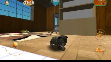 Cat Simulator screenshot 4