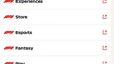 Official F1 ® App screenshot 17