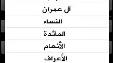 Holy Quran screenshot 5