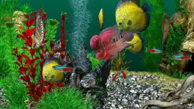 AquaLife 3D screenshot 5