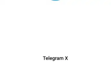 Telegram X screenshot 7