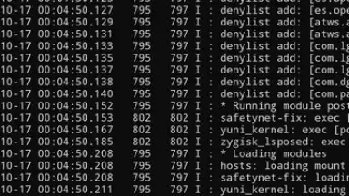 Magisk Delta screenshot 4