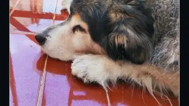Filmora screenshot 21