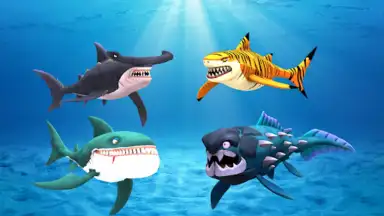 My Shark Show screenshot 13