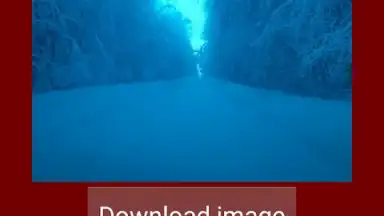 Скачать картинку видео из инстаграм screenshot 5