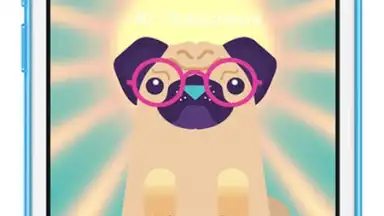 PewDiePug screenshot 3