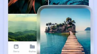 Yandex Disk screenshot 3