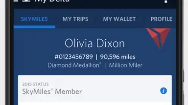Fly Delta screenshot 6