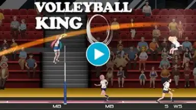 VolleyBall King screenshot 1