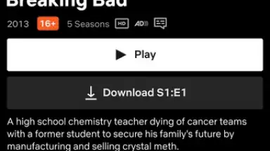 Netflix (Android TV) screenshot 15