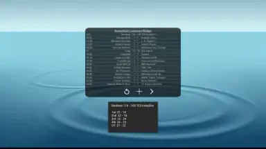 Basketball Livescore Widget screenshot 5
