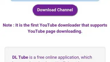 DL Tube screenshot 1