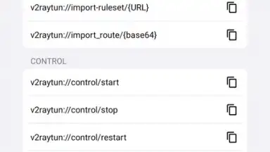 v2RayTun screenshot 10