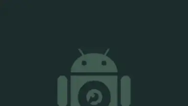 DroidCam screenshot 1