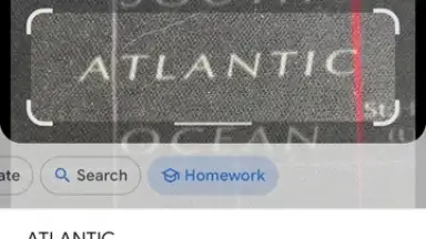 Google Lens screenshot 4