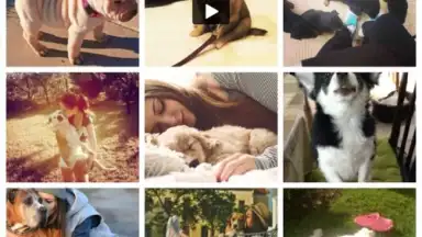 We Heart It screenshot 2