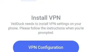 Veilduck VPN screenshot 5